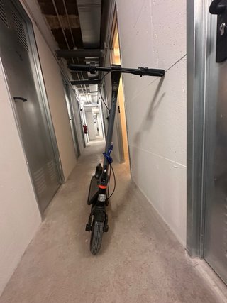 Bongo G40 XXL