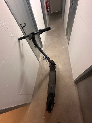 Bongo G40 XXL
