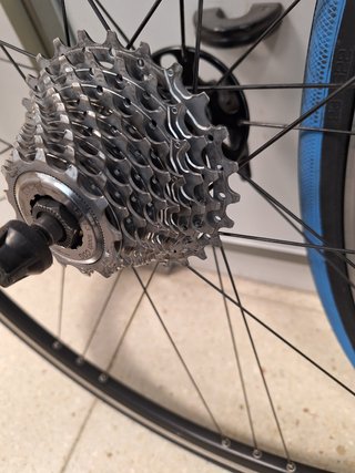 Ruedas Campagnolo 10v