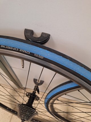 Ruedas Campagnolo 10v