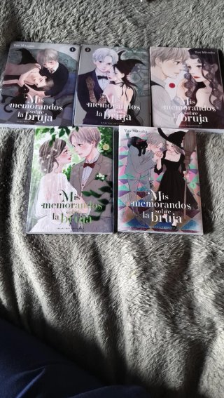 Mis memorandos sobre la bruja