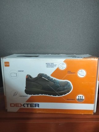 Zapatos de seguridad DEXTER para dama