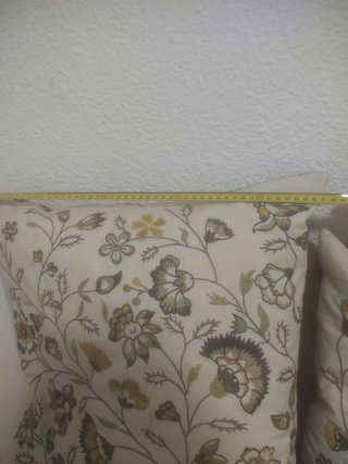 Cojín Plumas Bordado 55x45