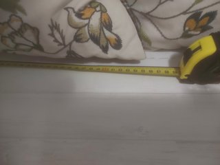 Cojín Plumas Bordado 55x45