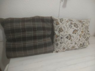 Cojín Plumas Bordado 55x45