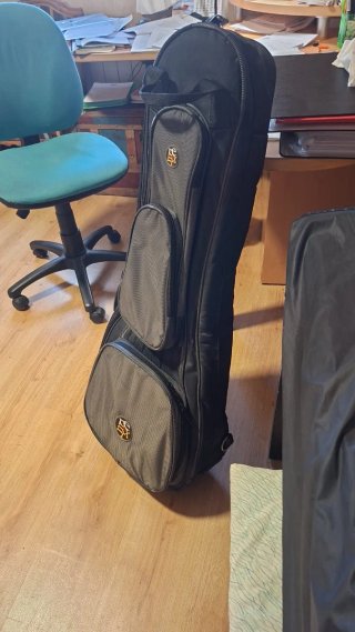 Funda de guitarra negra