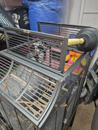 Jaula grande galvanizada para cotorras/loros