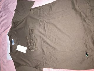 Conjuntos Lacoste Marrón y Blanco