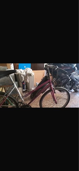 Bicicleta de adulto