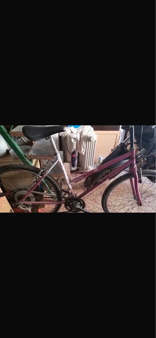 Bicicleta de adulto