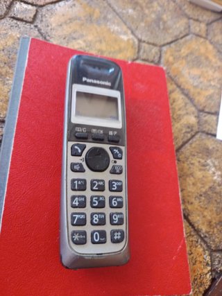 Teléfono Inalámbrico Panasonic Gris