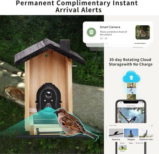 COMEDERO PAJAROS SMART 3L CAMARA AI