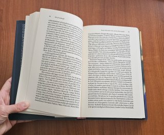Libro "Soli al Comando Bruno Vespa"