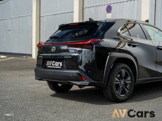 Lexus UX250h UX 250h Premium 184 2024 Unico Prop.
