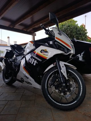 Mitt GP 125cc Rothmans Edición