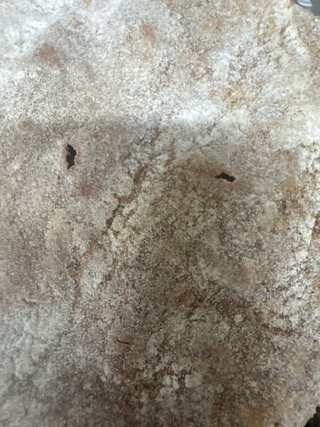 Pan para animales