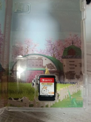 Story of Seasons: A Wonderful Life Nintendo Switch
