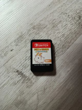 Story of Seasons: A Wonderful Life Nintendo Switch
