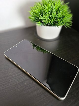 Samsung Galaxy S21 FE 5G 256GB