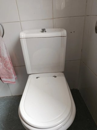 Tapa cisterna inodoro Regina blanco Sanitana