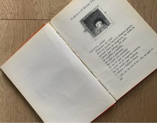 Libro “Coleta la poeta”