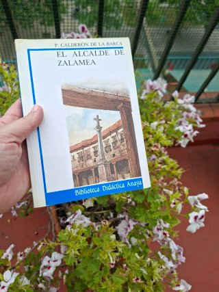 LOTE 4 Libros Bachillerato / EBAU - Biblioteca ...