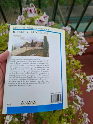 LOTE 4 Libros Bachillerato / EBAU - Biblioteca ...