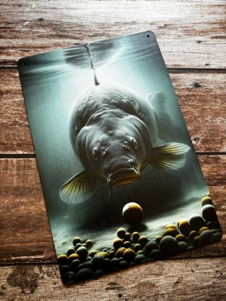 PLACA CARTEL METALICO PESCA CARPFISHING POP UP