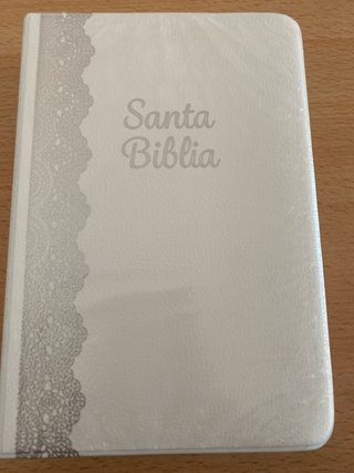 Biblia RVR 1960 letra grande