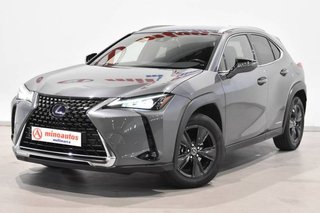 Lexus UX 250H 185 CV 2WD EXECUTIVE
