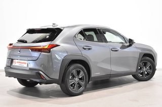 Lexus UX 250H 185 CV 2WD EXECUTIVE