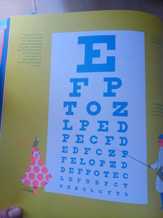 Lote cuentos ilustrados Veo