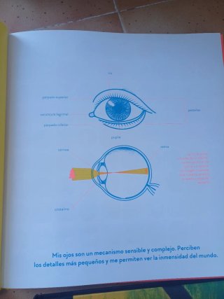 Lote cuentos ilustrados Veo