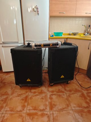 2 Altavoces 15 + Etapa Digital