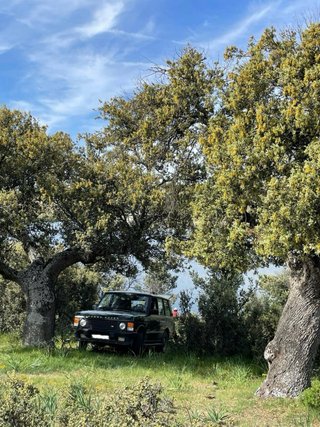 Land Rover Range Rover 1994