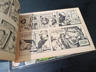 Conan,  las daily strip