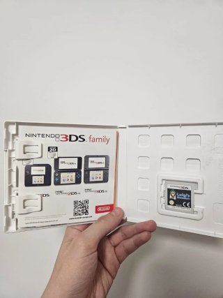 Luigi Mansion 3DS