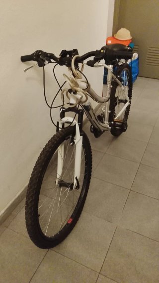 Bicicleta de adulto con marchas