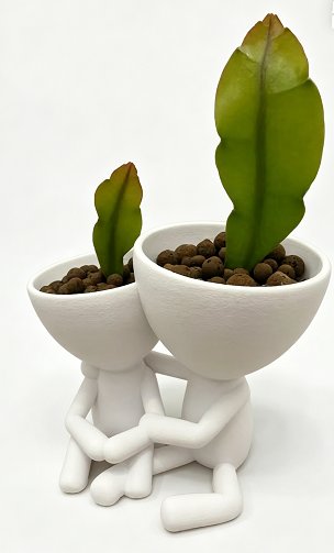 Maceta Doble Pareja 3D Moderna