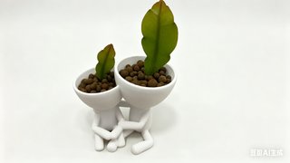 Maceta Doble Pareja 3D Moderna