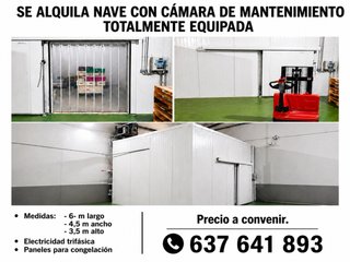 Lote Maquinaria Alimentación