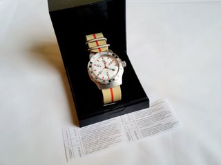 Vostok Cernobyl full lumen 16073V Amphibia 2415.01