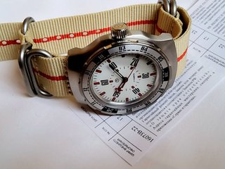 Vostok Cernobyl full lumen 16073V Amphibia 2415.01
