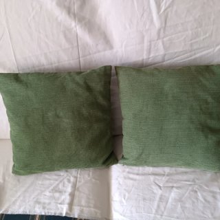 2 Cojines Verdes con Flor Beige