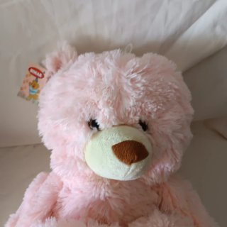 2 Cojines Infantiles Peluche