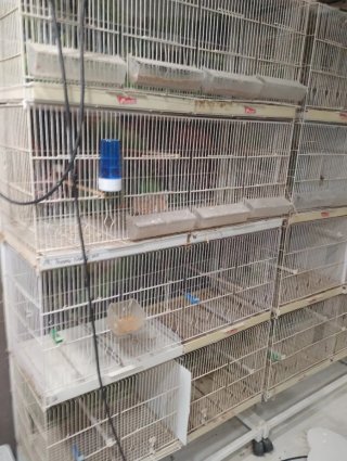 Módulo Jaulas de Cría Metro Pedros
