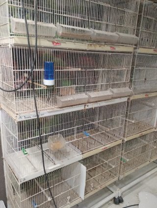 Módulo Jaulas de Cría Metro Pedros