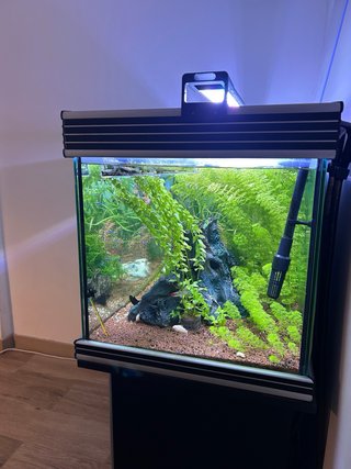 Acuario 250L Negro/Verde
