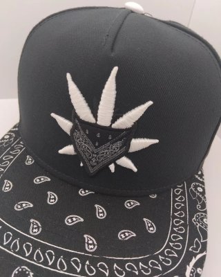 Gorra Cayler & Sons