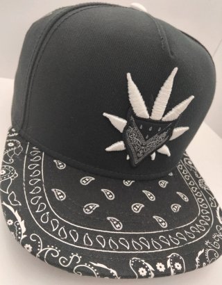 Gorra Cayler & Sons